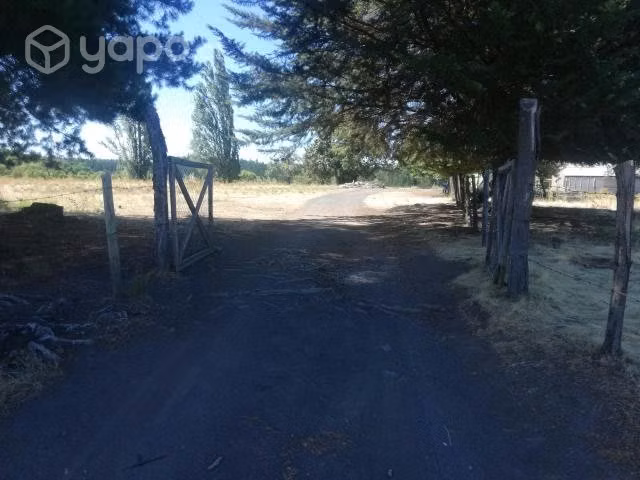 Hermoso campo camino a Antuco, Sur de Chile
