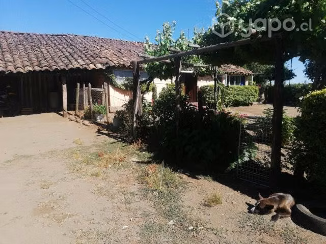 Hermoso campo camino a Antuco, Sur de Chile