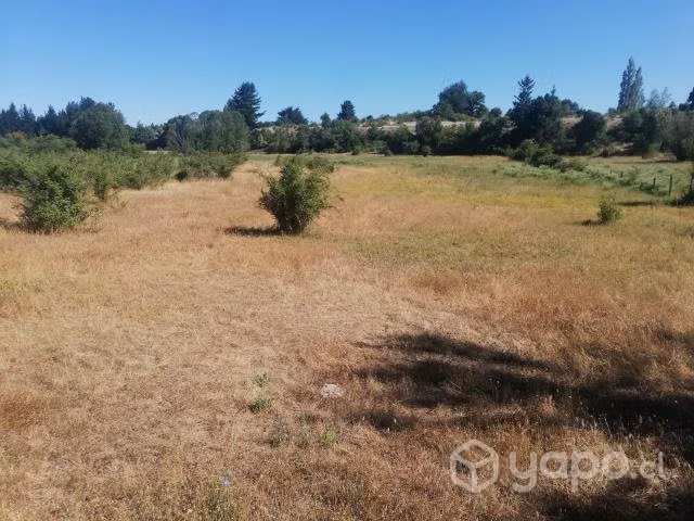 Hermoso campo camino a Antuco, Sur de Chile
