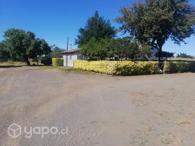 Hermoso campo camino a Antuco, Sur de Chile