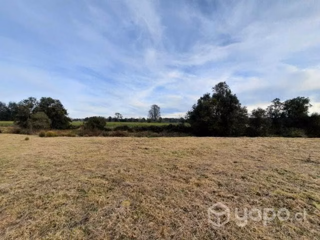 Se vende parcela sector Pichidamas, Puyehue - Imagen 7