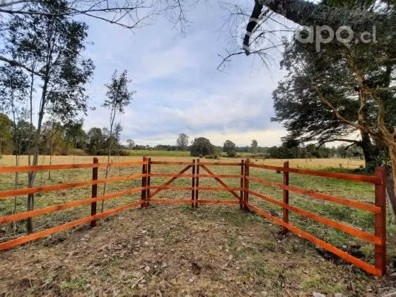 Se vende parcela sector Pichidamas, Puyehue - Imagen 2