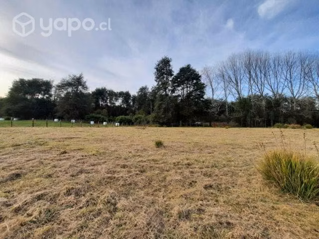 Se vende parcela sector Pichidamas, Puyehue - Imagen 10