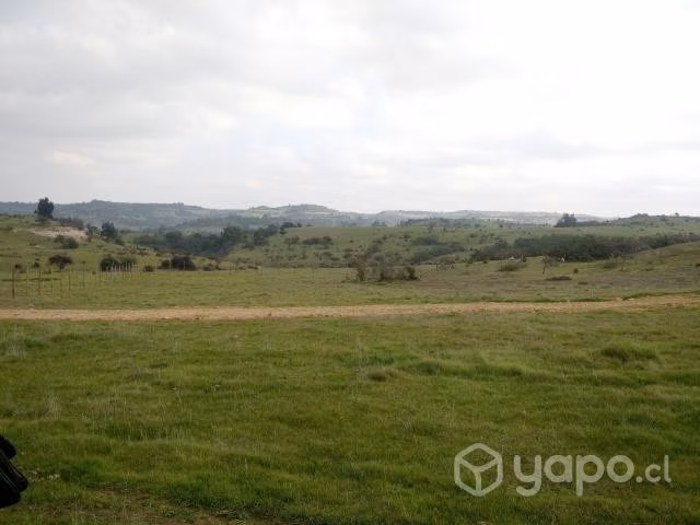 Parcela de agrado LITUECHE