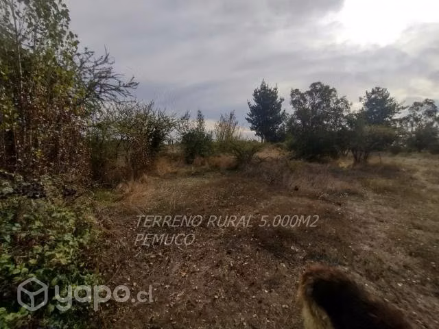 Terreno rural
