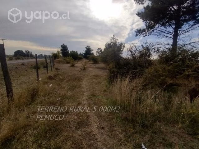 Terreno rural
