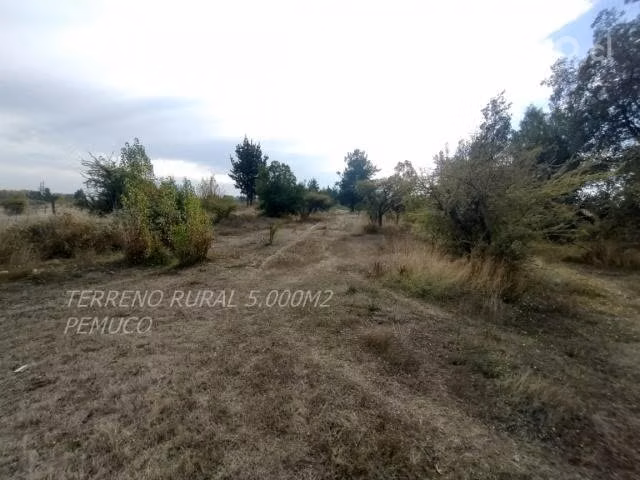 Terreno rural