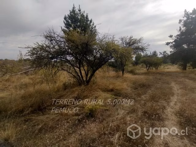 Terreno rural