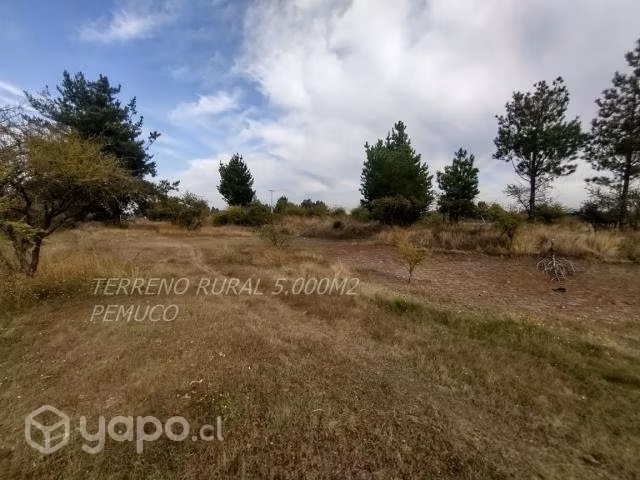 Terreno rural
