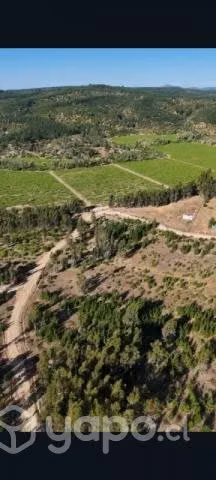 Parcela en Hualañe, Curico, Maule