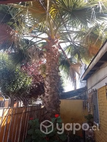 Vendo mi hermosa casa en Conchalí