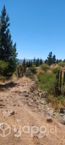 Terreno en comuna de Hualañe - Imagen 2