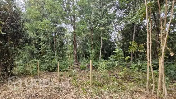 Sitio en niebla valdivia limpio y cercado bosque