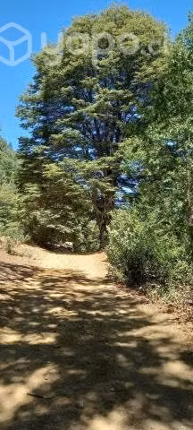 Se vende terreno de 13.5 ha. potrero grande.maule