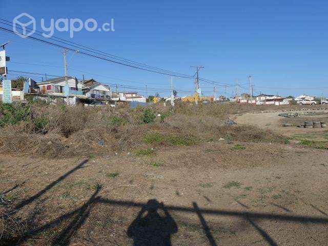 Parcela en el tabo - Imagen 8