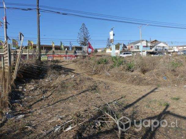 Parcela en el tabo - Imagen 7