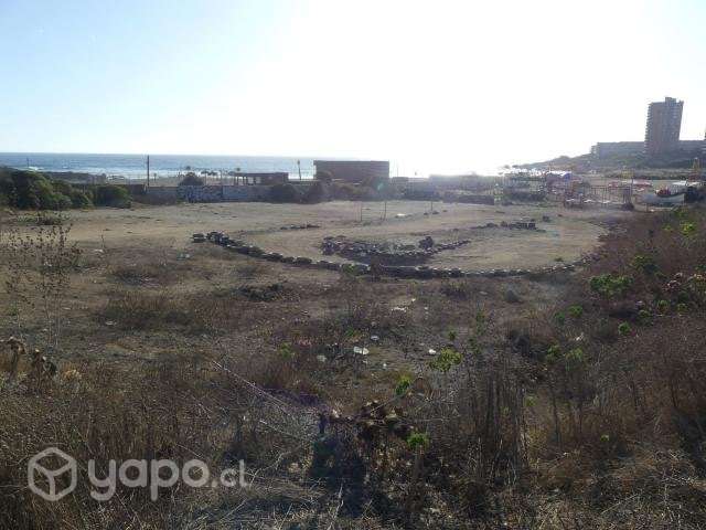 Parcela en el tabo - Imagen 2