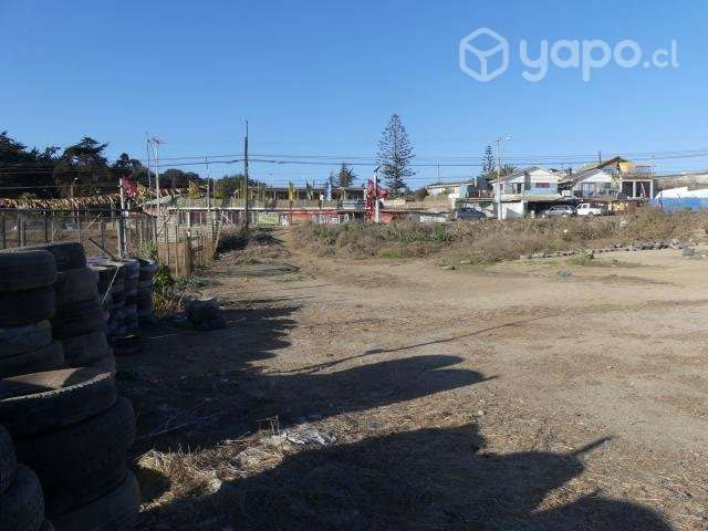 Parcela en el tabo - Imagen 11