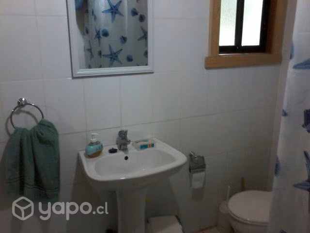 Arriendo cabaña diario