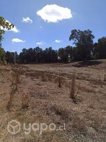 SE VENDE PARCELA 5000 m2 EN MAYULERMO, SAN IGNACIO