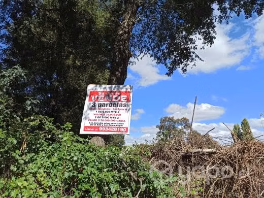 SE VENDE PARCELA 5000 m2 EN MAYULERMO, SAN IGNACIO