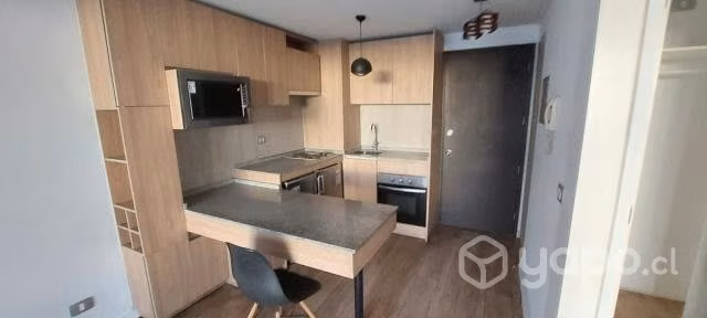 Se arrienda departamento a pasos de M. Santa Isabe - Imagen 10
