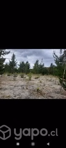 Venta terreno dentro de parcela - Imagen 5
