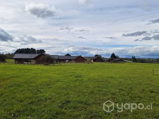 Arriendo Espectacular Casa Osorno / Ruta Pto Octay