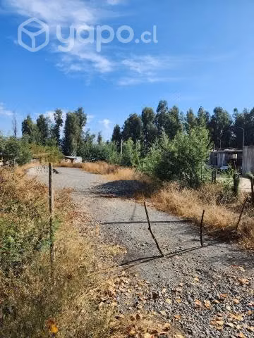 Sitio 800m2