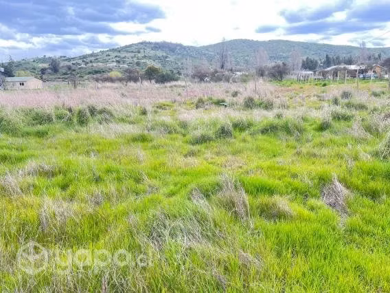 Venta Terreno Agricola - San Nicolás