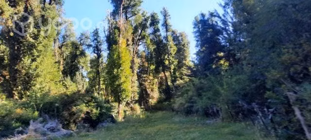 SE VENDE PARCELA 5000m y 10000m EN PATAGONIA CHILE