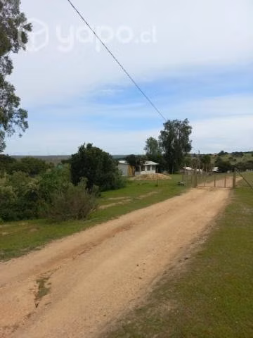 Parcela - Imagen 2