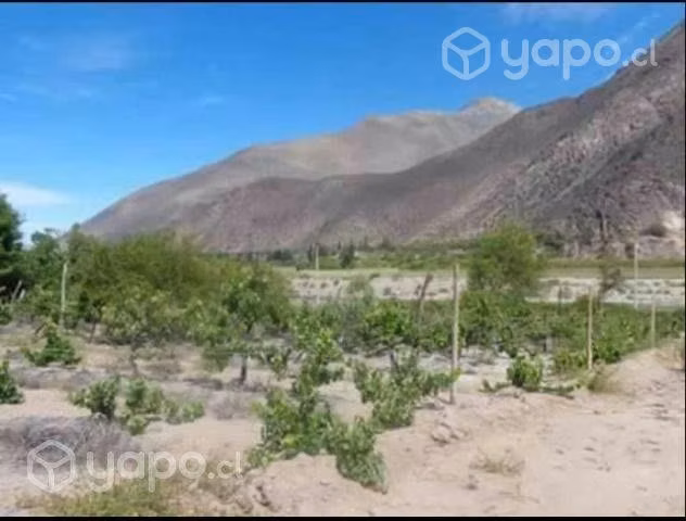 Vendo terreno en valle de elqui