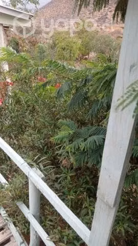 Vendo o permuto casa con amplio terreno