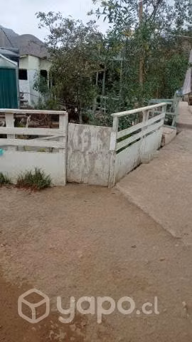 Vendo o permuto casa con amplio terreno