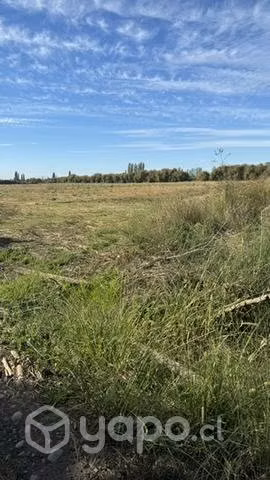 Se vende terreno de 5000m2
