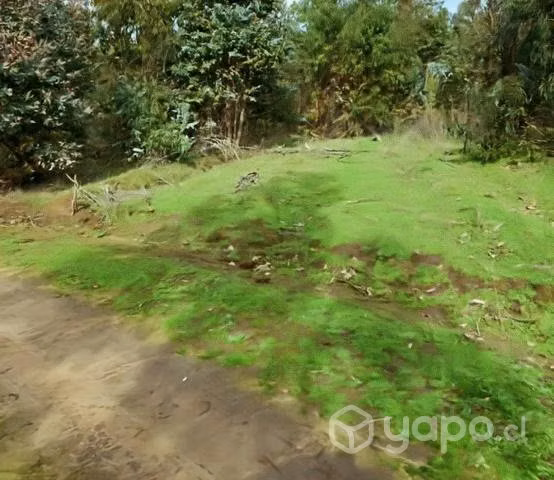 Hermoso terreno de 1 hectárea en quillón