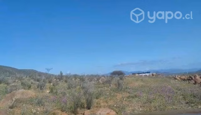 Vendo 6 hectáreas de terreno en renacer de Talhuen - Imagen 9