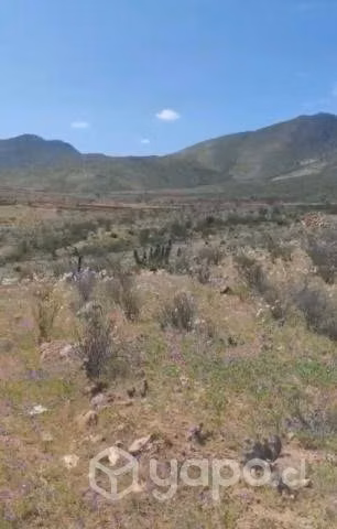 Vendo 6 hectáreas de terreno en renacer de Talhuen - Imagen 5