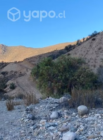 Vendo 6 hectáreas de terreno en renacer de Talhuen - Imagen 12