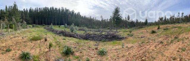 PARCELA 5000 m2 A 15 MINUTOS DE PICHILEMU