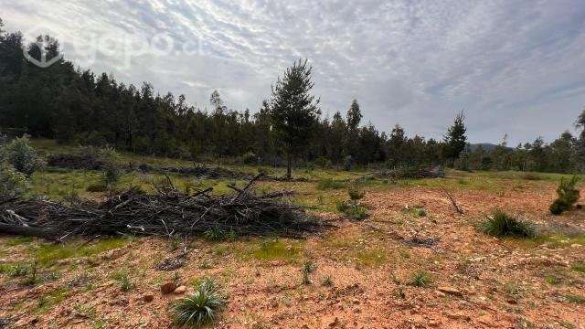 PARCELA 5000 m2 A 15 MINUTOS DE PICHILEMU