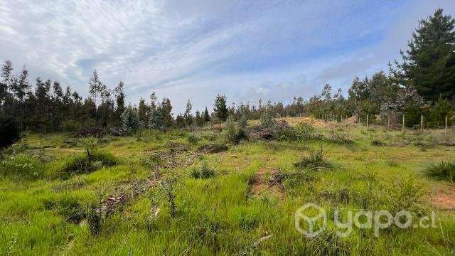 PARCELA 5000 m2 A 15 MINUTOS DE PICHILEMU