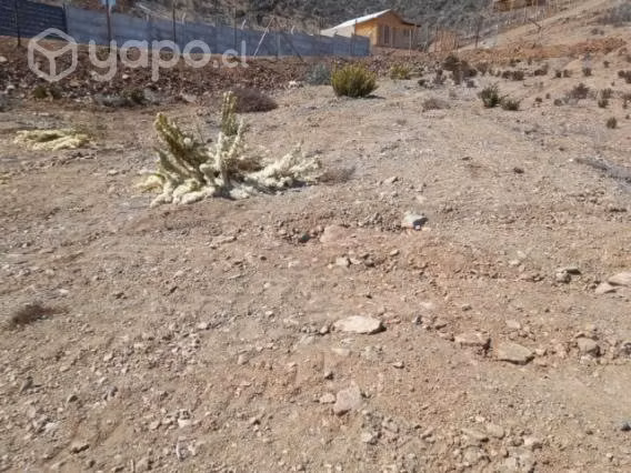 Venta de terreno estancia Loreto - Imagen 4
