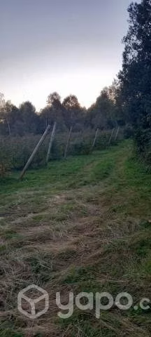 Vendo terreno hacienda allipen