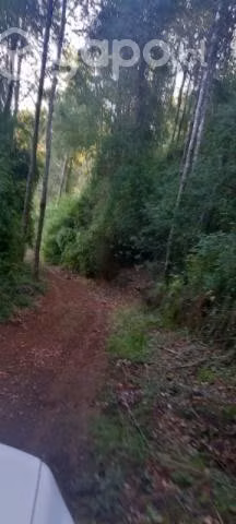 Vendo terreno hacienda allipen