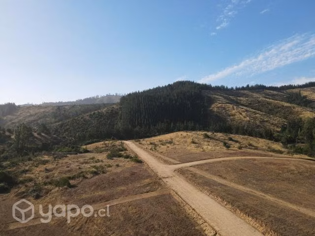 Parcelas Curepto Sector Llaca Llaca