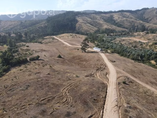 Parcelas Curepto Sector Llaca Llaca