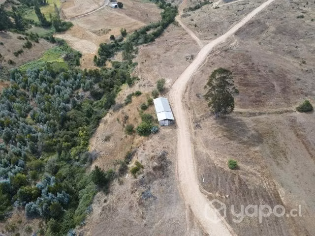 Parcelas Curepto Sector Llaca Llaca