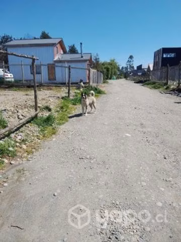 Terreno 300 metros cuadrados
